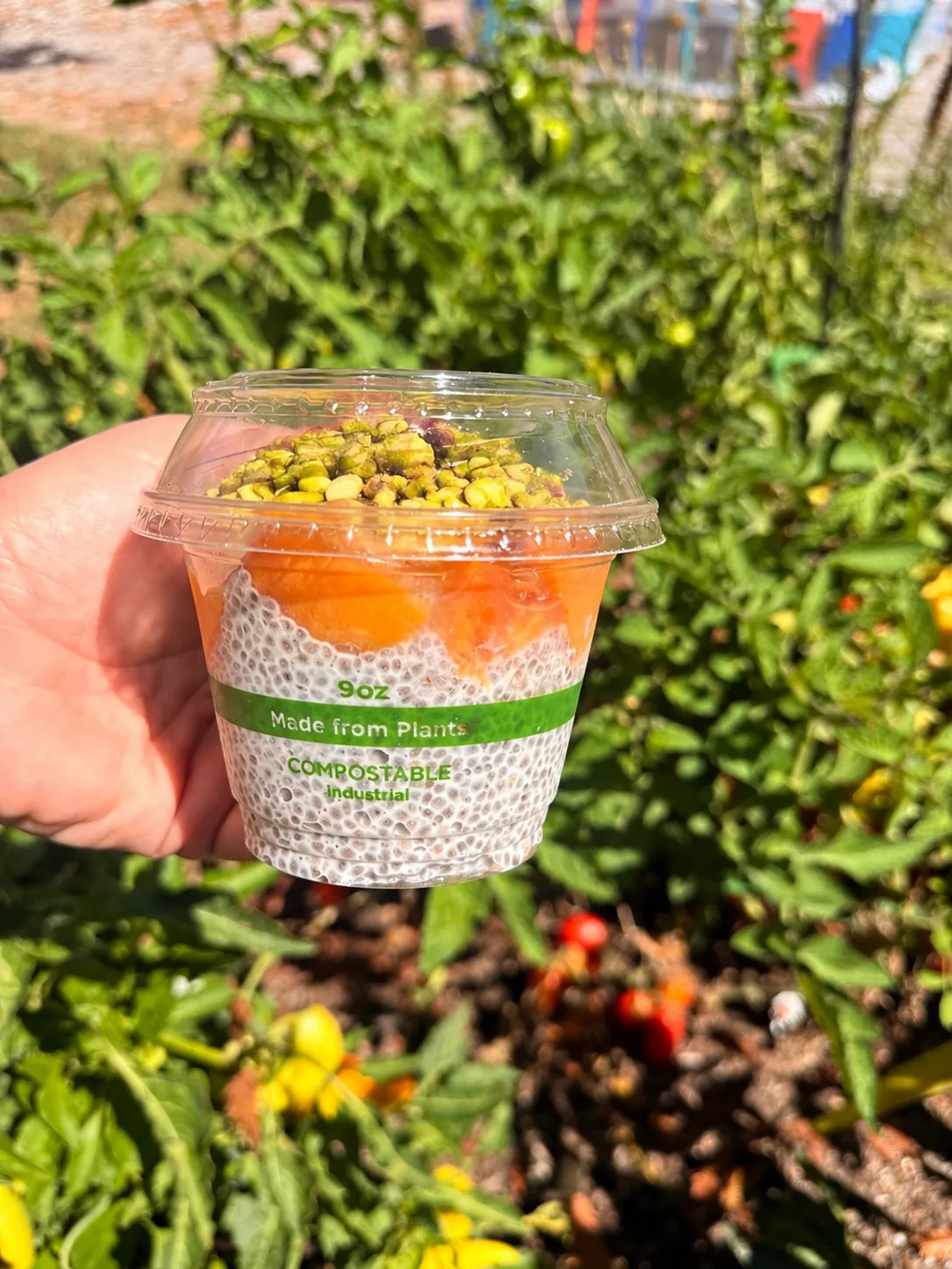 Tahitian vanilla chia pudding topped with juicy roasted peaches and crunchy pistachio crumble.